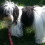 Profile picture of Starr Jow
